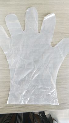 OEM Kompostierbare biologisch abbaubare Einweghandschuhe Nahrungsmittelzubereitung