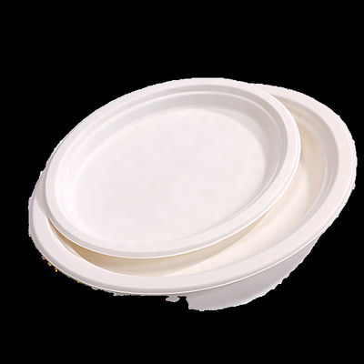 Gemachte Druck-Kompostierbare Smoothie Tassen Zuckerrohr Bagasse Teller 20 Oz