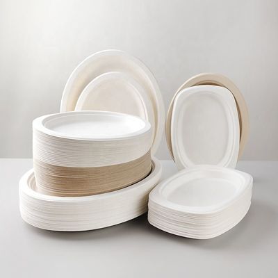 Gemachte Druck-Kompostierbare Smoothie Tassen Zuckerrohr Bagasse Teller 20 Oz