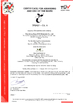 China Shandong Aisun Environmental Protection Material Co., Ltd. zertifizierungen